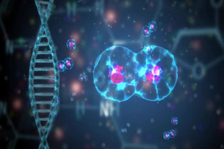 TI/25 - Biologia II - T